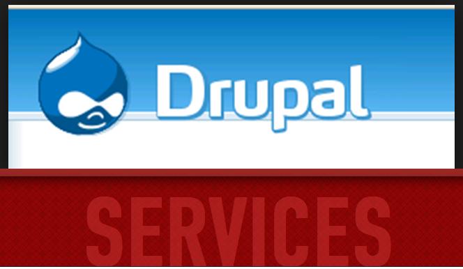 Drupal development company