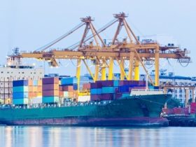 Container Buying Guide - Some Overlooked Facts