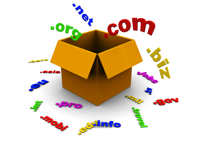 Domain Names: Reasons Why Brandable Domain Names Sell For High Dollars