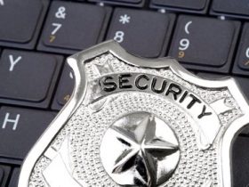 Protect As Well As Insure Yourself Against Identity Theft