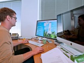 What Education Do I Need To Work In Software Development?