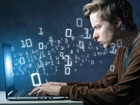 Top Tips For Developing A Programmer Career Path