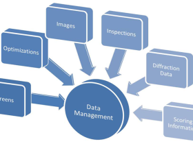 How Data Management Software Can Keep Your Companies Organized and Secured