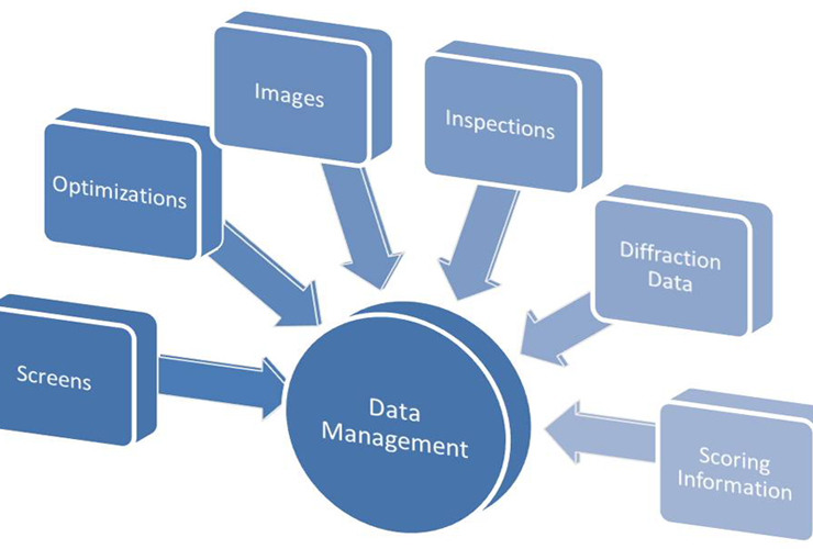 How Data Management Software Can Keep Your Companies Organized and Secured
