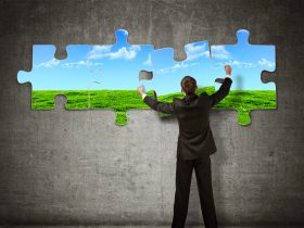 The Best Green Jobs For A Green Enthusiast