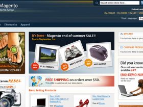 Magento Templates: - A Great Solution For Online Stores