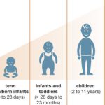 Child Growth and Development Is Proportionate To Cognitive Development