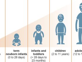 Child Growth and Development Is Proportionate To Cognitive Development