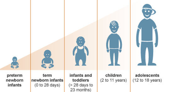 Child Growth and Development Is Proportionate To Cognitive Development