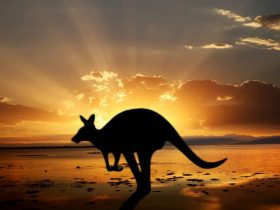 Tips On How To Plan A Holiday In Perth