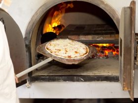wood fire pizza oven