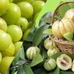 The Benefits Of Regular Garcinia Cambogia Supplementation