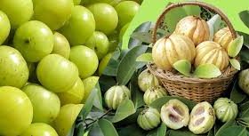 The Benefits Of Regular Garcinia Cambogia Supplementation