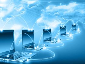 Export Software: A Guide On Its Utilities and Features