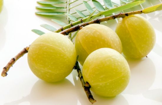 The Amazing Health Benefits Of Indian Amla