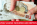 best payday loans