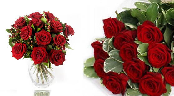 Top 5 Flowers In The World