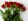 Top 5 Flowers In The World