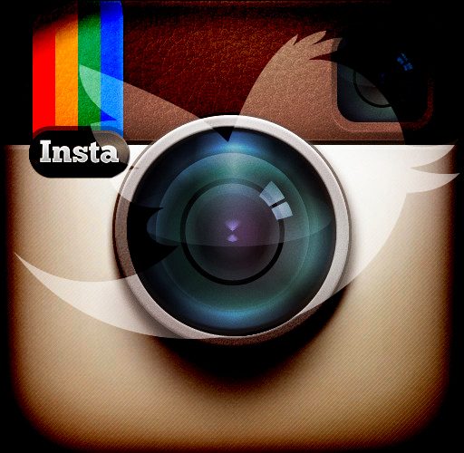 Instagram Advanced Search For Your Business