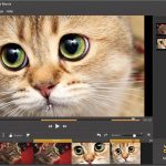 Movavi Video Suite Review
