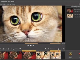 Movavi Video Suite Review