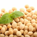 Is Soy Protein Safe To Be Taken?