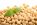 Is Soy Protein Safe To Be Taken?