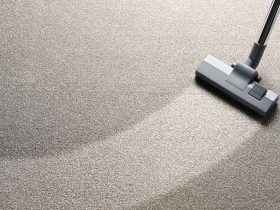 Why Homeowners Should Opt For Professional Carpet Cleaning