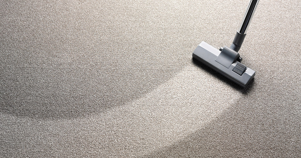 Why Homeowners Should Opt For Professional Carpet Cleaning