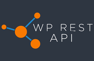 Wordpress JSON REST API