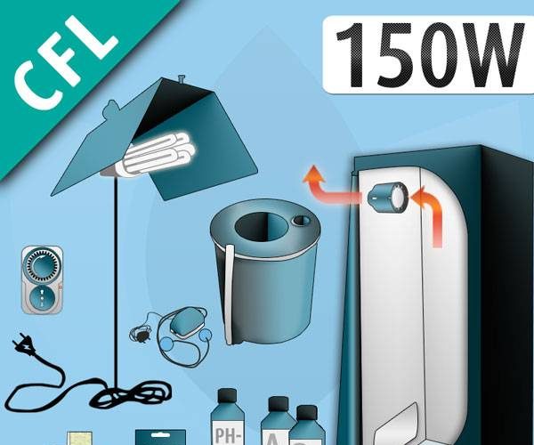 Hydroponics Grow Boxes - A Complete Informative Guide To Buy The Right Product