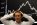 Stockbroking All The Stats, Facts, and Data You'll Ever Need To Know