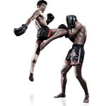 Muay Thai Training In Thailand Is The New Business On Internet