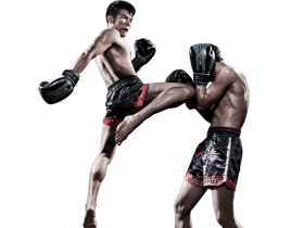 Muay Thai Training In Thailand Is The New Business On Internet