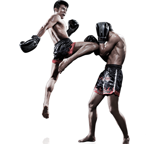 Muay Thai Training In Thailand Is The New Business On Internet