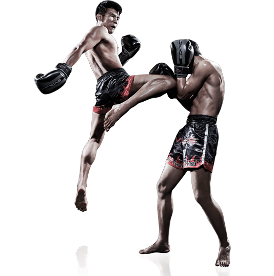 Muay Thai Training In Thailand Is The New Business On Internet
