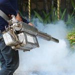 pest-controllers-st-albans