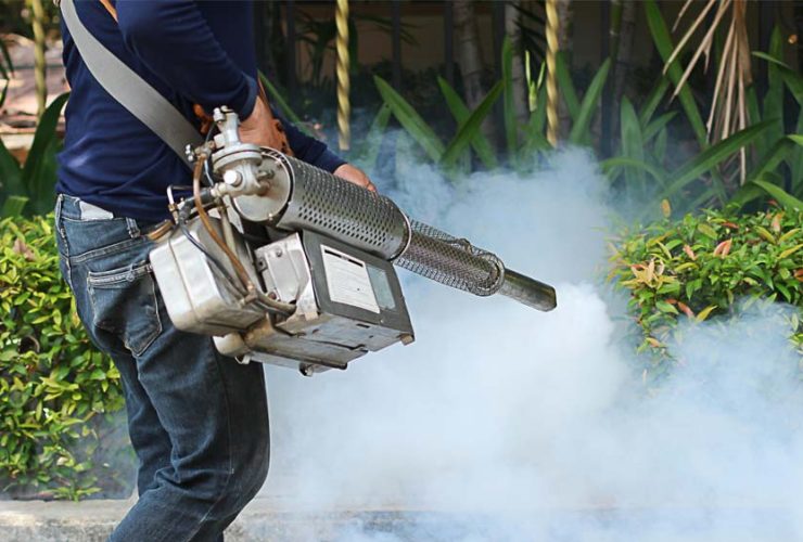 pest-controllers-st-albans