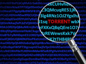 The Ultimate VPN Torrent Guide For Australians