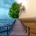 Environmental Management System