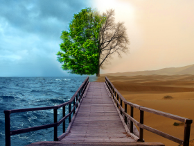 Environmental Management System