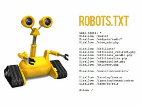 5 Things You Should Know About Your Robots.txt File