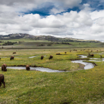 Some Useful Beginners Backpacking Tips For Yellowstone National Park