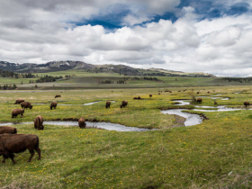 Some Useful Beginners Backpacking Tips For Yellowstone National Park