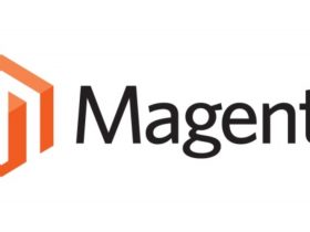 Reasons To Go For Magento Enterprise Development