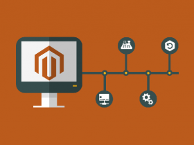 Magento Hosting and The Magento eCommerce Platform