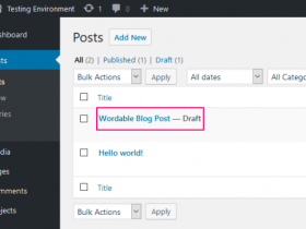 The Right Method To Import Blog Posts From Google Docs To WordPress Using Wordable