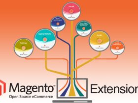 Integrate these Extensions into your Magento Store for an Increased ROI