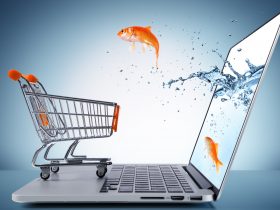 Find Out The Best Search Engine Optimizations For Your Online Business