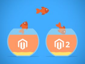 The Prospects of Moving your Store to Magento 2